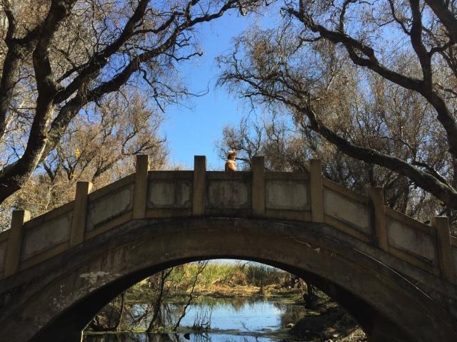 大理研學(xué)行程--這次我們帶你去見(jiàn)不一樣的大理！