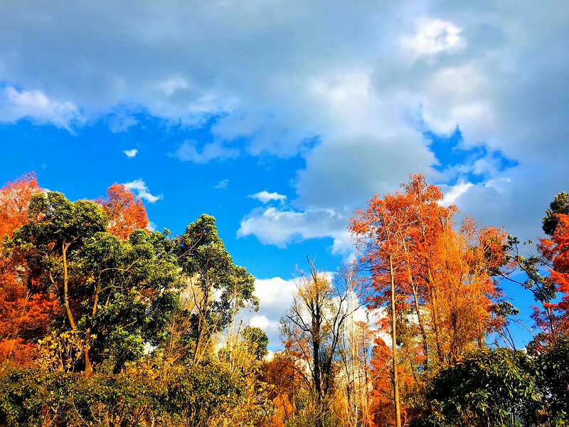 上海理工附小云南大理療休養(yǎng)活動(dòng)