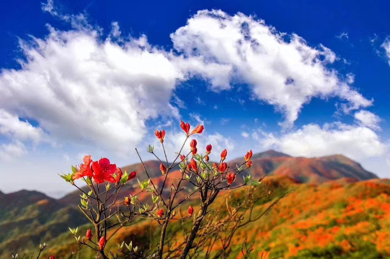 快！暑假夏令營要去云南大理啦