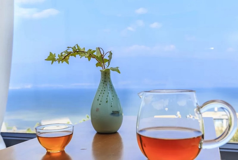 夏令營的起源是什么？