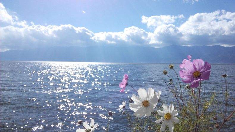 天行大理沖心智夏令營課程能對青少年心智發(fā)展的幫助哪些？