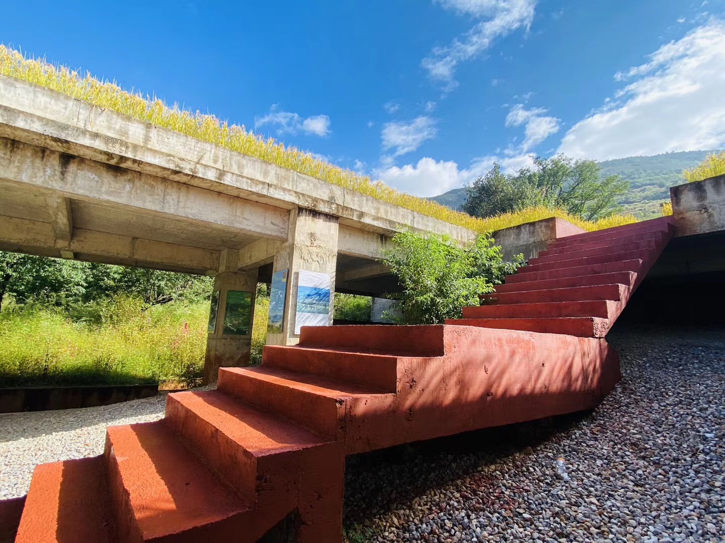 大理洱源鳳羽稻田劇場(chǎng)