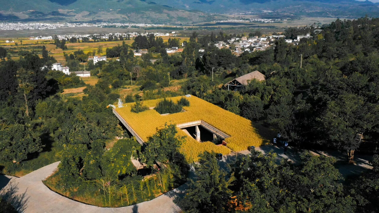 大理洱源鳳羽稻田劇場(chǎng)