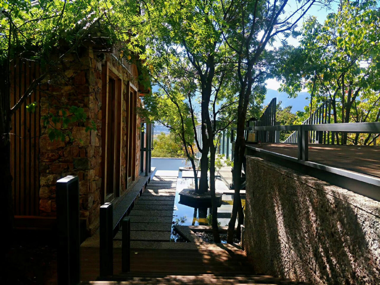 大理洱源鳳羽稻田劇場(chǎng)