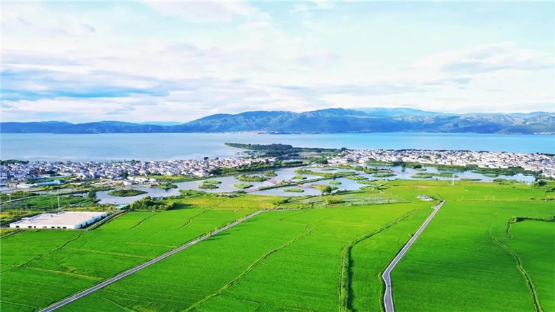 小暑  跟著時(shí)節(jié)游大理 邂逅盛夏的清涼森系