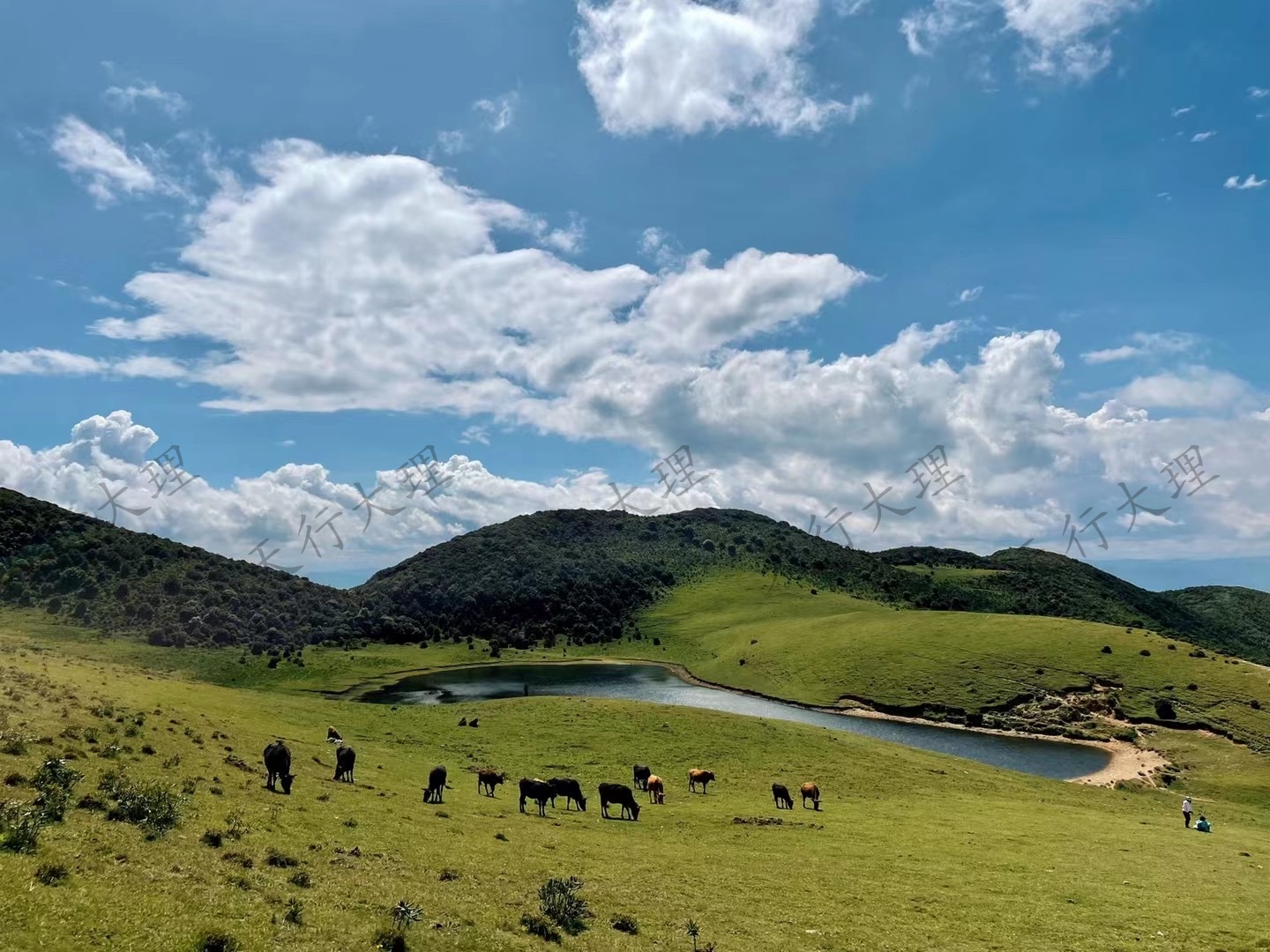大理企業(yè)徒步拓展露營(yíng)之推薦：大理洱源鳥吊山徒步露營(yíng)  高山草甸似仙境