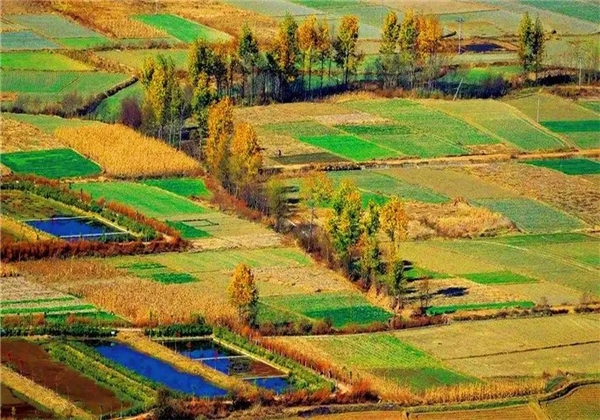 秋風(fēng)乍起，和大理鳳羽小鎮(zhèn)來(lái)一場(chǎng)相擁