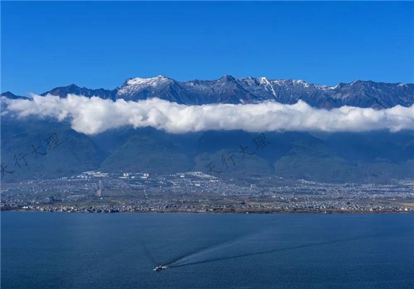 蒼山等你赴一場(chǎng)花的“盛宴”！