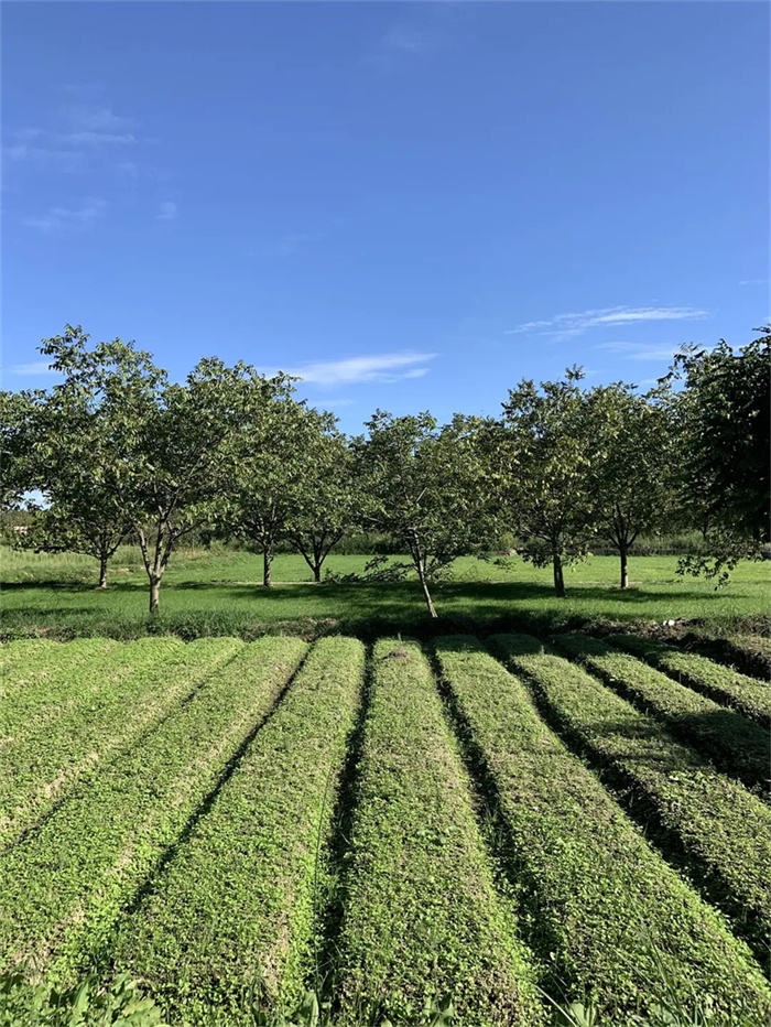 大理小重山鹿鳴山莊戶(hù)外基地