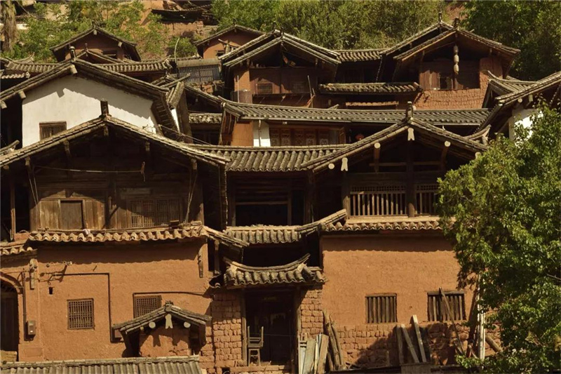 鄉(xiāng)愁大理丨諾鄧大青樹(shù)下，宿進(jìn)青蔥歲月，眺望巨木蒼天