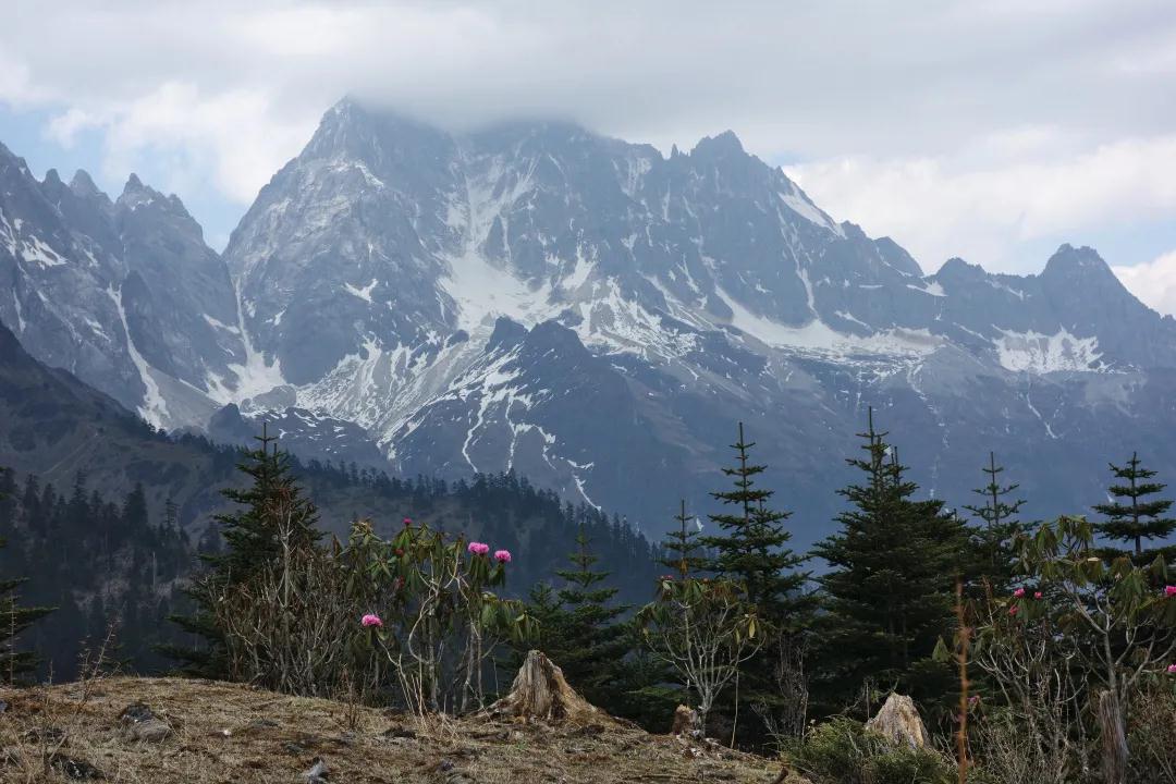 在大理，我找到了真正的森林 大理旅游攻略