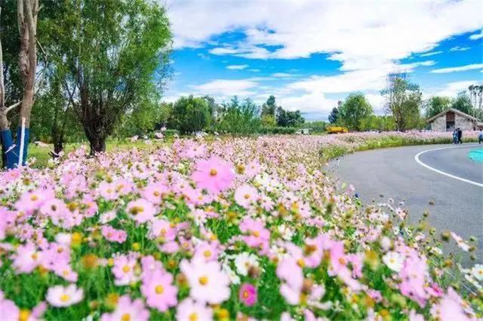 洱海生態(tài)廊道，不見不散