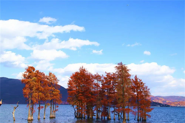 大理傳媒公司：龍龕碼頭，是大理團(tuán)建的最佳選擇之一