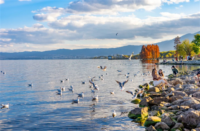 【美麗大理】冬天的洱海生態(tài)廊道，美出新高度