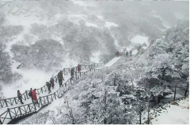 蒼山的風花雪月！簡直美到讓人尖叫！