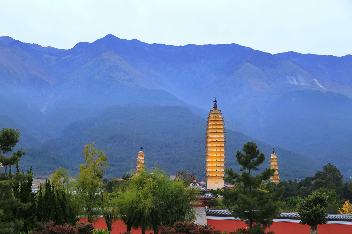 大理傳媒公司：蒼山西坡杜鵑花開成海，絕不辜負你賞春的心意！