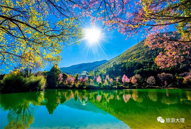 愛情集市、民間歌舞、洞經(jīng)音樂……去蝴蝶會邂逅獨屬于大理的浪漫