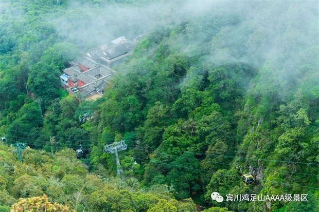 來雞足山，過20℃的夏天！