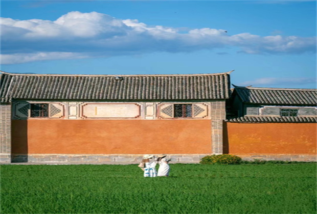 今日份的好心情，是喜洲稻田給的