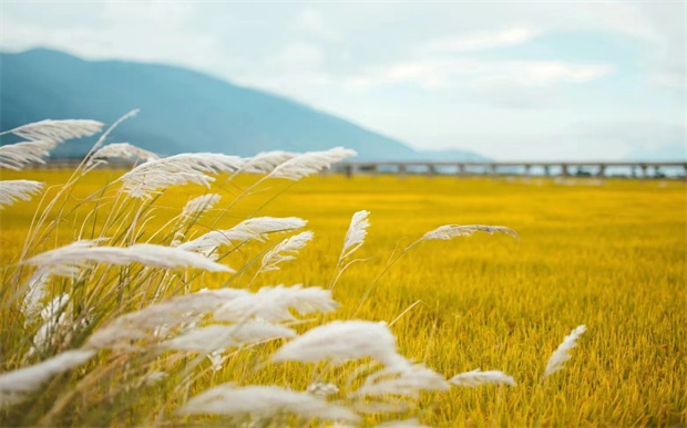 大理：接下的大理會是什么樣子？