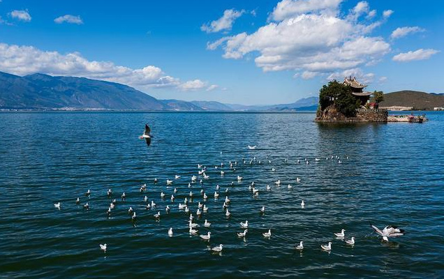 大理會務(wù)公司：大理秋日美食圖鑒！這份“貼秋膘”指南快收藏！